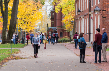 CC在线压力测试